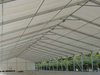 Multi Shape Tent